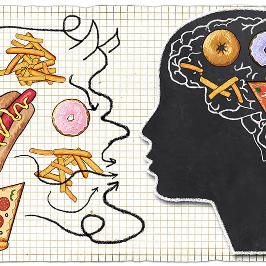 Illustration of a silhouette of a person's head with outlines of brains filled with fast food items like fries, donuts, and pizza. The head faces a series of chaotic arrows connecting to similar food items outside on a graph paper background, illustrating food cravings.