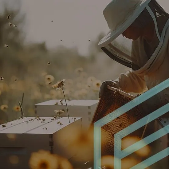 10 FearOfWaspsHypnosisMain