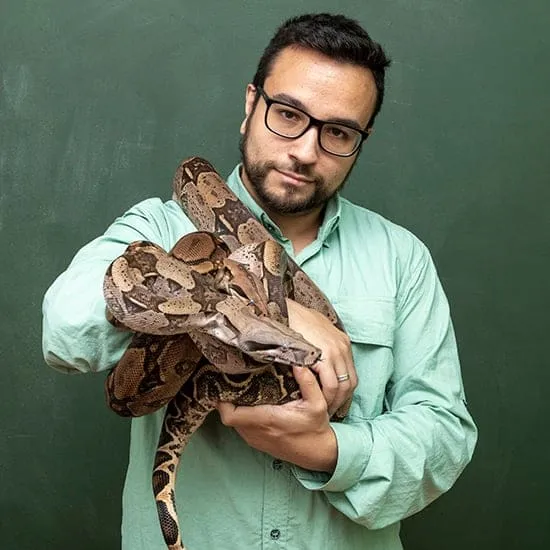 52 FearOfSnakesRollover