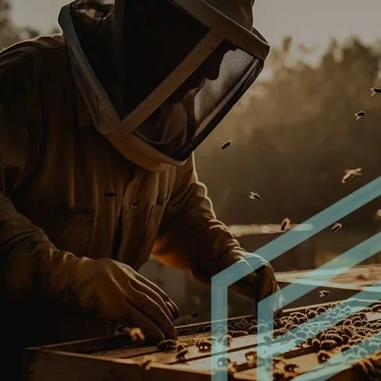 9 FearOfBeesHypnosisMain